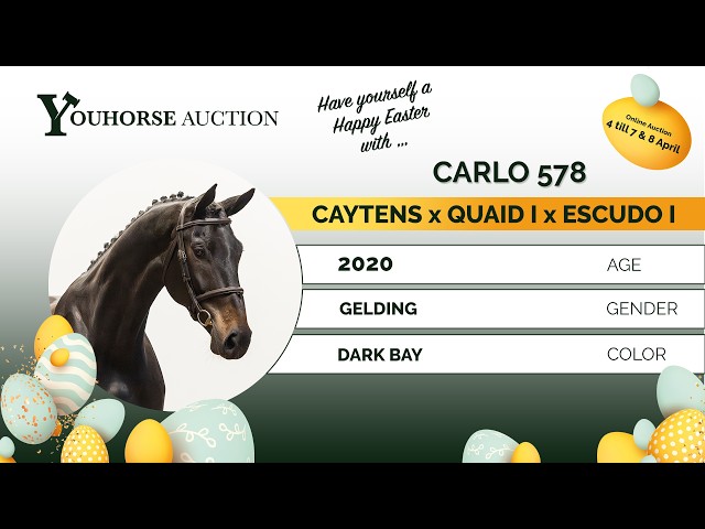 Carlo showvideo outdoor