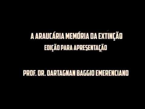 A Araucária Memória da Extinção - Filme raro | Completo (1981)