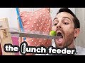 The Lunch Feeding Contraption Joseph S Machines