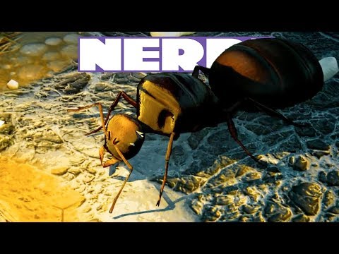 Nerd³ Decks Some Ants - Empires of the Undergrowth - 17 Mar 2018
