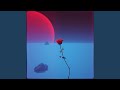 Your my red rose