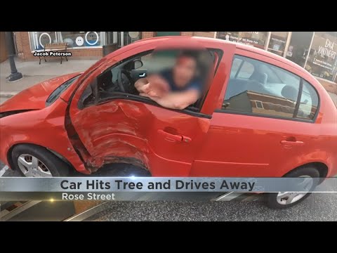 Motorcyclist chases man who hits tree on Rose Street and flees the scene