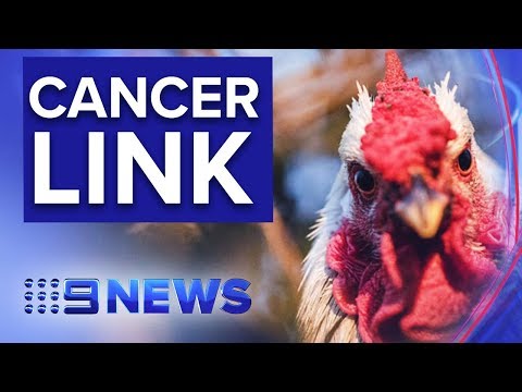 Researchers identify link between eating chicken and cancer | Nine News Australia