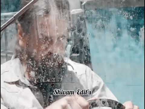 THE WALKING DEAD STATUS