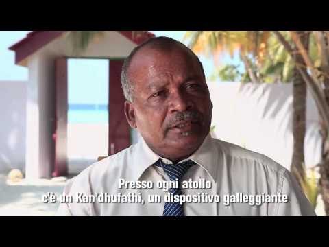 Maldives. Biodiversity of the Sea