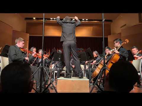 Pyso PHILHARMONIC winter 2018 concert 1