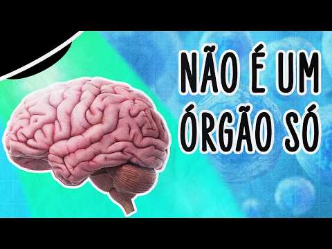 SEU CÉREBRO NÃO É UM ÓRGÃO, SÃO DOIS, DIZEM PESQUISADORES | ABDUÇÃO