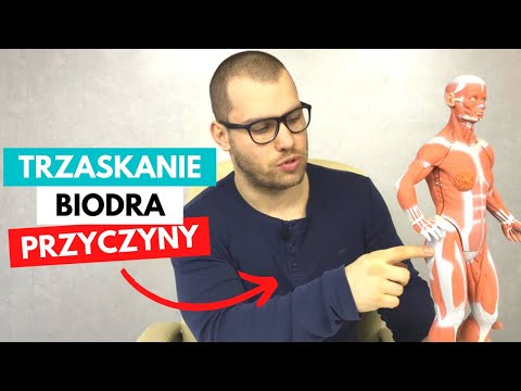 Wszystkie ćwiczenia dla wszystkich mięśni nóg Ćwiczenia do ćwiczenia mięśni skośnych zewnętrznych brzucha