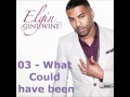 Ginuwine Elgin 03-what could have been