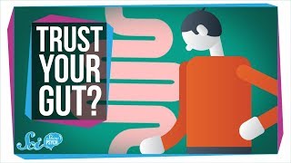 Here&#39;s When You Should Trust Your Gut