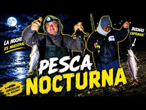 🎣PESCA NOCTURNA (En Busca De Las Brotolas)