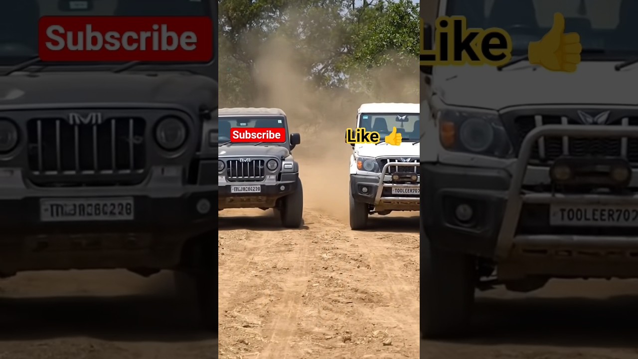 Thar Vs Bulero #_tochan💸💸🤟🤟🔥🔥🤙🤙🤙🤙😱😱