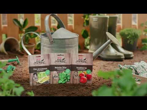 SPAR KOT NEKOČ - Ohranimo slovenske avtohtone sorte!