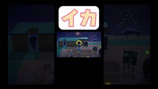 イカ#ゲーム実況   #もっちー切り抜き #あつもり  #あつまれどうぶつの森  #あつ森 #おもしろ動画 #もちひろ #ゲーム  #実況 #ショート
