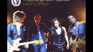 The Brand New Heavies - Brother Sister (live)
