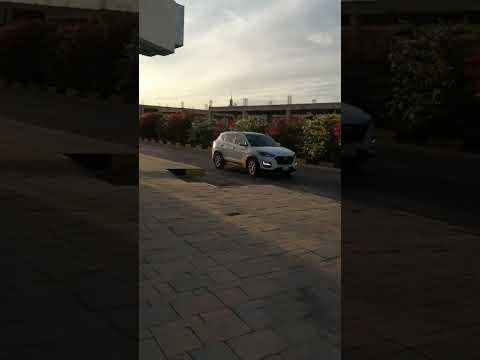 Bougainvillea flowers in Unaizah Gassim KSA