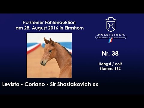 Holsteiner Fohlenauktion 2016 in Elmshorn - Nr. 38 v. Levisto - Coriano