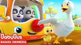 Download lagu Roda Di BabyBus Berputar-putar | Lagu Anak Indonesia | Kartun Anak-anak | BabyBus Bahasa Indonesia mp3