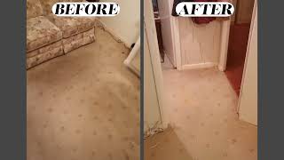 Preview of Before and After, Specialist Stain removal Treatment.
