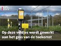 Is het gras groener in Groenekan? | RTV Utrecht