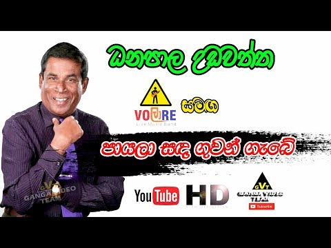 පායලා සඳ ගුවන් ගැබේ | ධනපාල උඩවත්ත | VOLARE රහට | Payala Sanda | Danapala Udawaththa