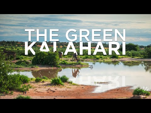 Namibia In Bloom - The Green Kalahari