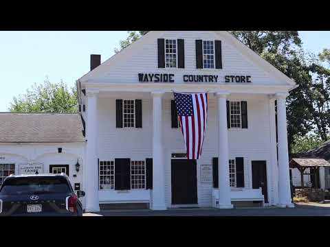 Things to do in Marlborough