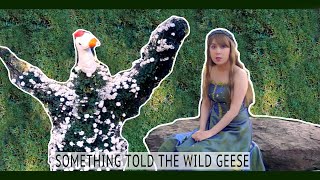 Something told the wild geese - Rachel Field  | | Poetry | | Short poem | | Read by Poetry Pixie