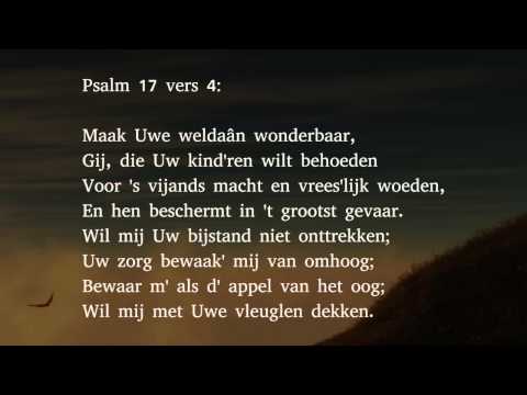 Psalm 17 vers 3, 4 en 8 - Ik zet mijn treden in Uw spoor