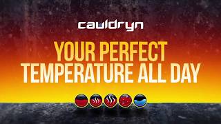 Cauldryn Fyre Mobile Temperature Control Boiling Battery Mug