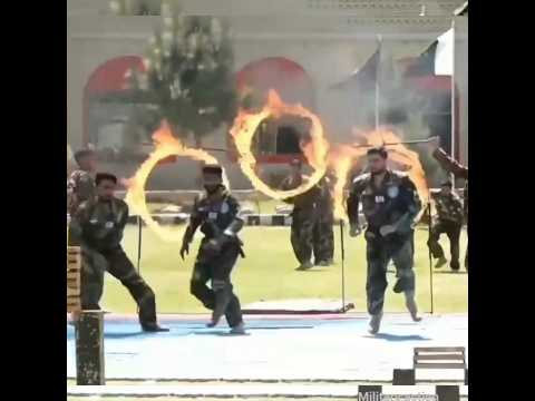 Military SSG training Pakistan 🇵🇰 SSG | Most Powerful Commando Action & Military Power.#military