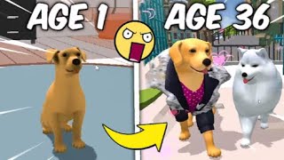 Birth to Death as a DOG | Warrior Gaming