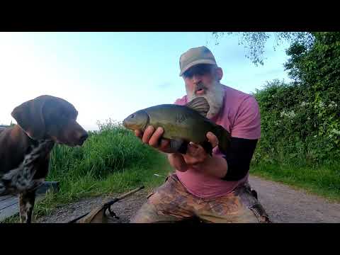 Evening and morning tench session on Tiverton canal