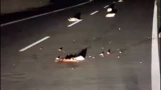 strage-di-galline-sulla-variante-manna-ad-ariano