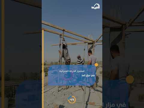 اخبار المرقد