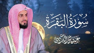 Download lagu سورة البقرة كاملة للقارئ رعد الكردي | full surah Al Baqara ـRaad Alkurdi mp3
