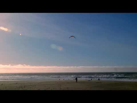 Transplant (trailer)