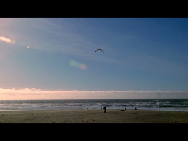 Transplant (trailer)