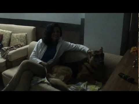 PARIMAL LIKES & LOVES HIS DOG M4H05193.MP4
