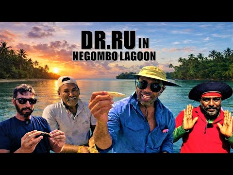 යං සත්තු බලන්න Part 2 | Lagoon Safari with DR.RU | Sri Lanka | @wishwatiyubaya 👣😎🐊