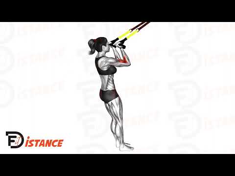 Exercice Curl au TRX