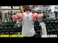 Animal Raw | Derek Lunsford, Shoulders