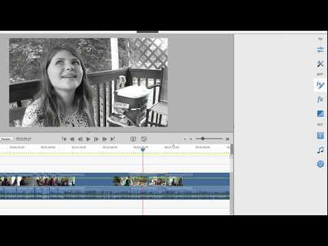 Basic Training for Premiere Elements 2023, Part 5 of 8