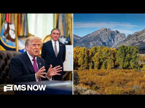 'STOP THE BULLDOZERS’: Inside Trump's war on America's public lands