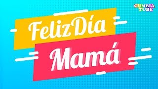 Un Amor Verdadero Lyrics English Translation
