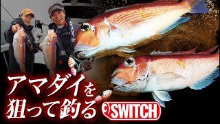 [BINBIN Switch] Custom for Red sea bream that you can target and catch | SHIGENORI NAKAJIMA