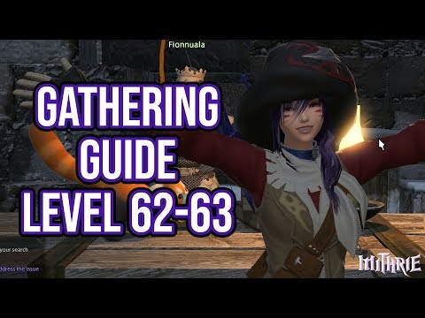 FFXIV 4.0 1086 Gathering Guide Level 62 to 63