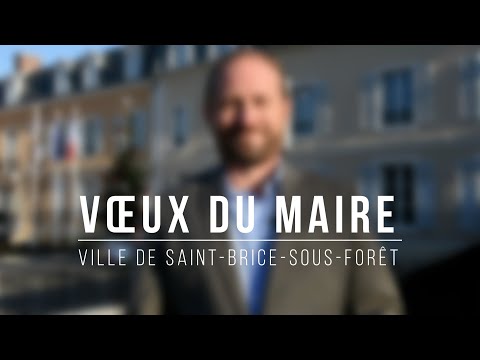 Voeux du maire 2022