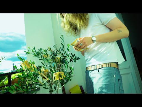 YIN KALLE - CHOP IT UP (prod. eazymoney319 & yinkalle)