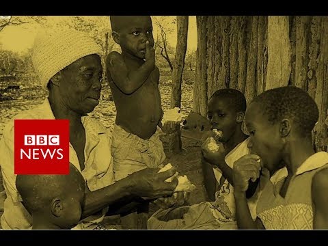 Why is Zimbabwe in such a bad way? - BBC News